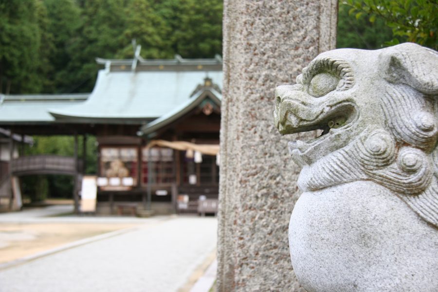 狛犬と社殿