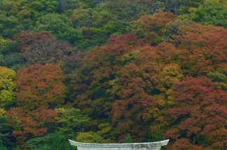 参道の鳥居