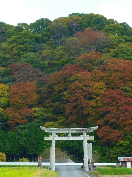 参道の鳥居