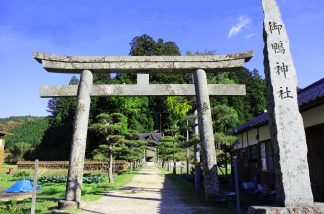 神社の杜