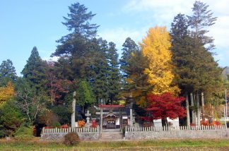 紅葉する神社の杜