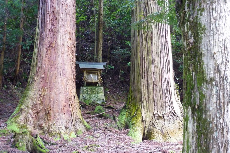 山中に佇む小社