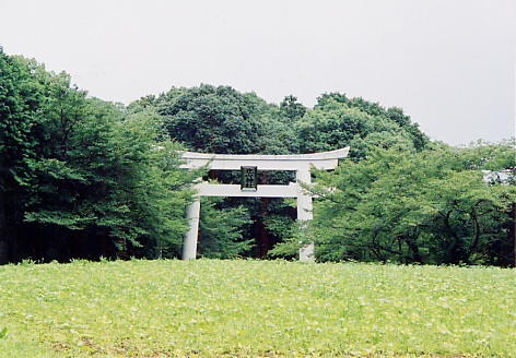 大鳥居