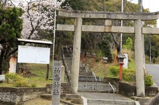 鳥居と桜