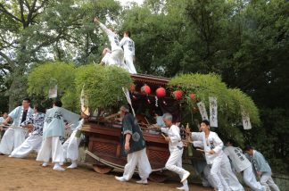 鴻八幡宮秋祭4